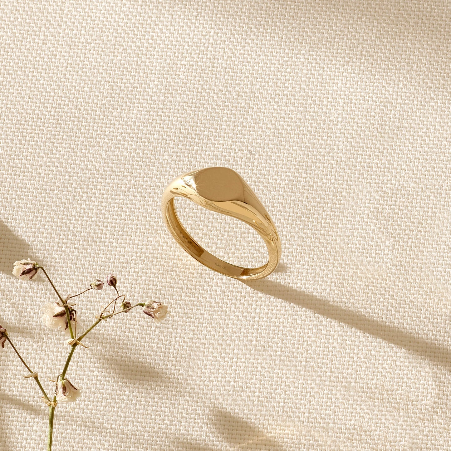 Circle Signet Ring in Gold
