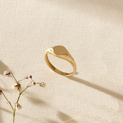 Circle Signet Ring in Gold