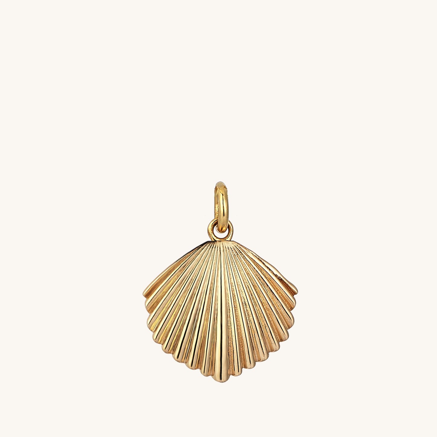 Shell Necklace in Gold