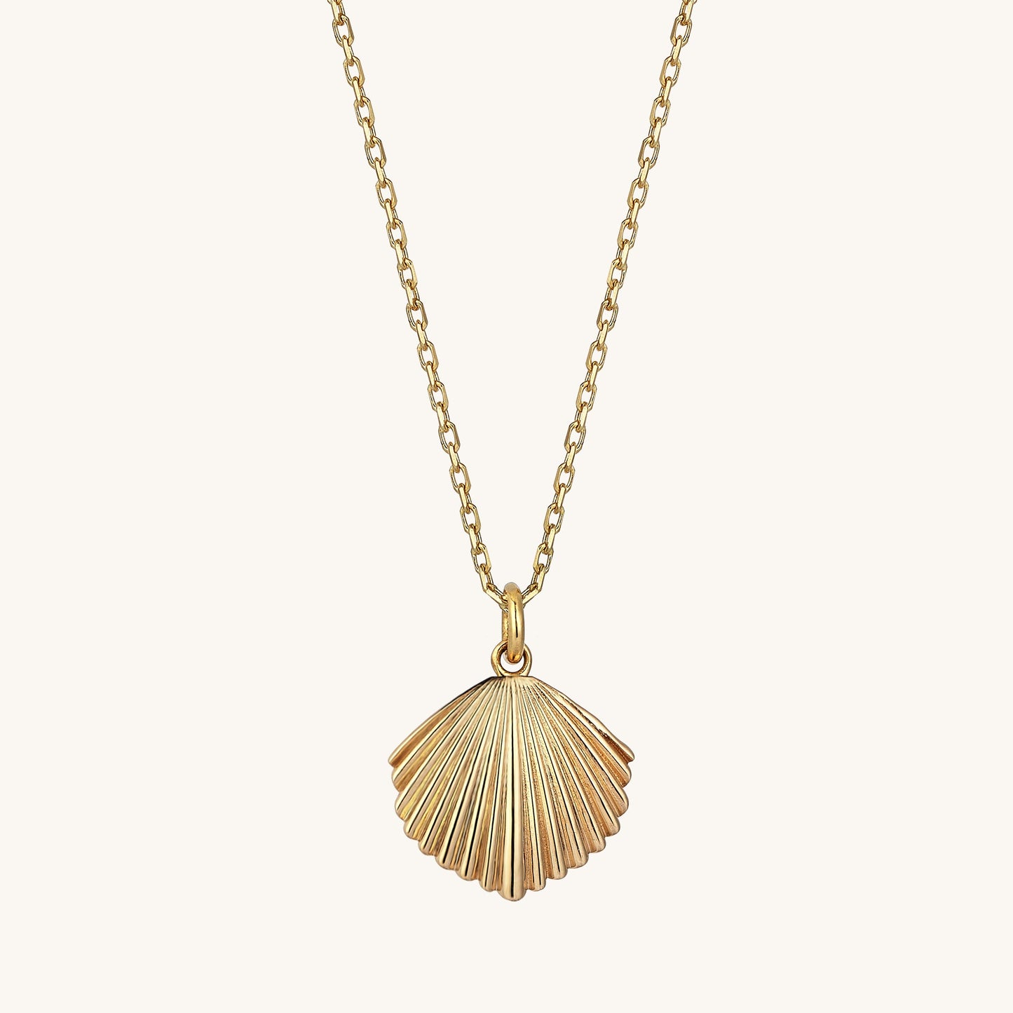 Shell Necklace in Gold