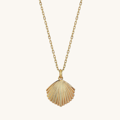 Shell Necklace in Gold