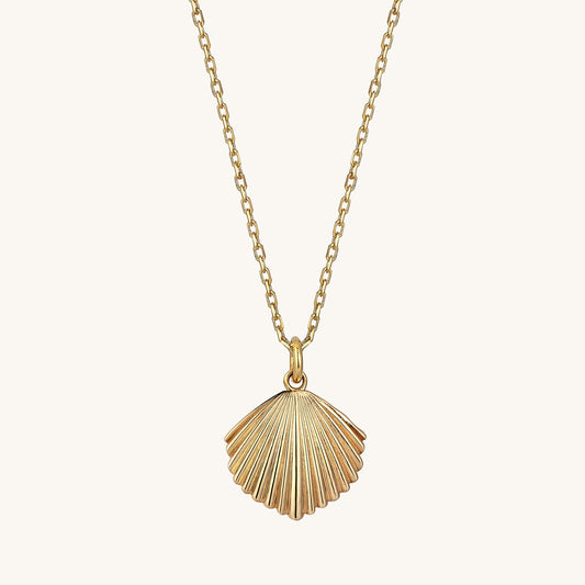 Shell Necklace in Gold