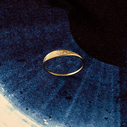 Tiny Pave Signet Ring in Gold
