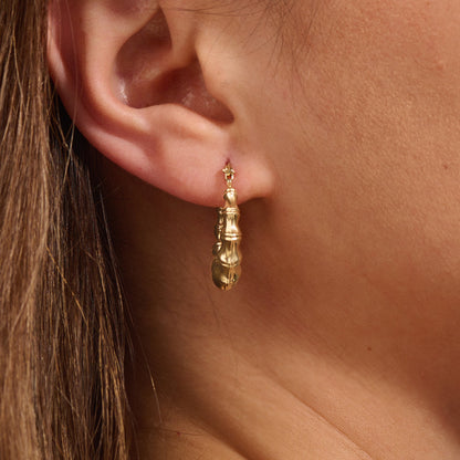 Bamboo Earrings in Gold