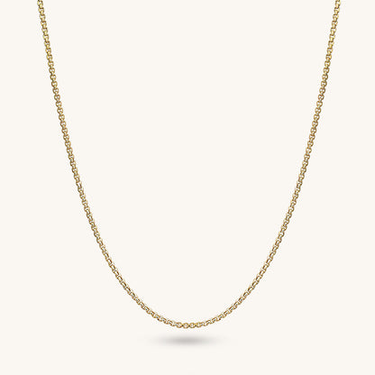 Box Chain Necklace in Gold