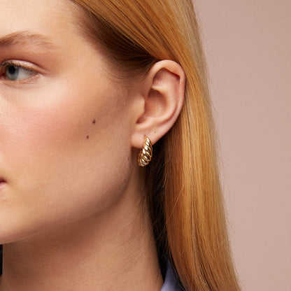 Croissant Earrings in Gold