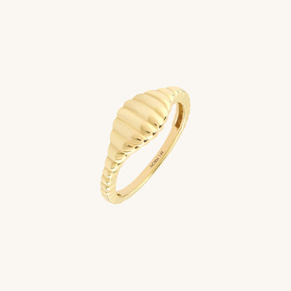 Iconic Dome Signet Ring in Gold