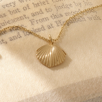 Shell Necklace in Gold