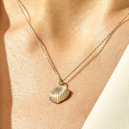 Shell Necklace in Gold
