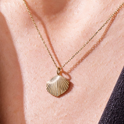 Shell Necklace in Gold